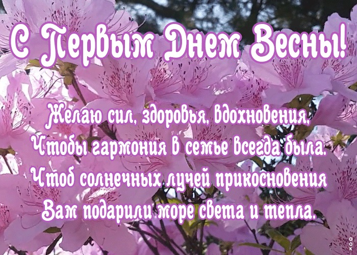 Хостинг картинок yapx.ru