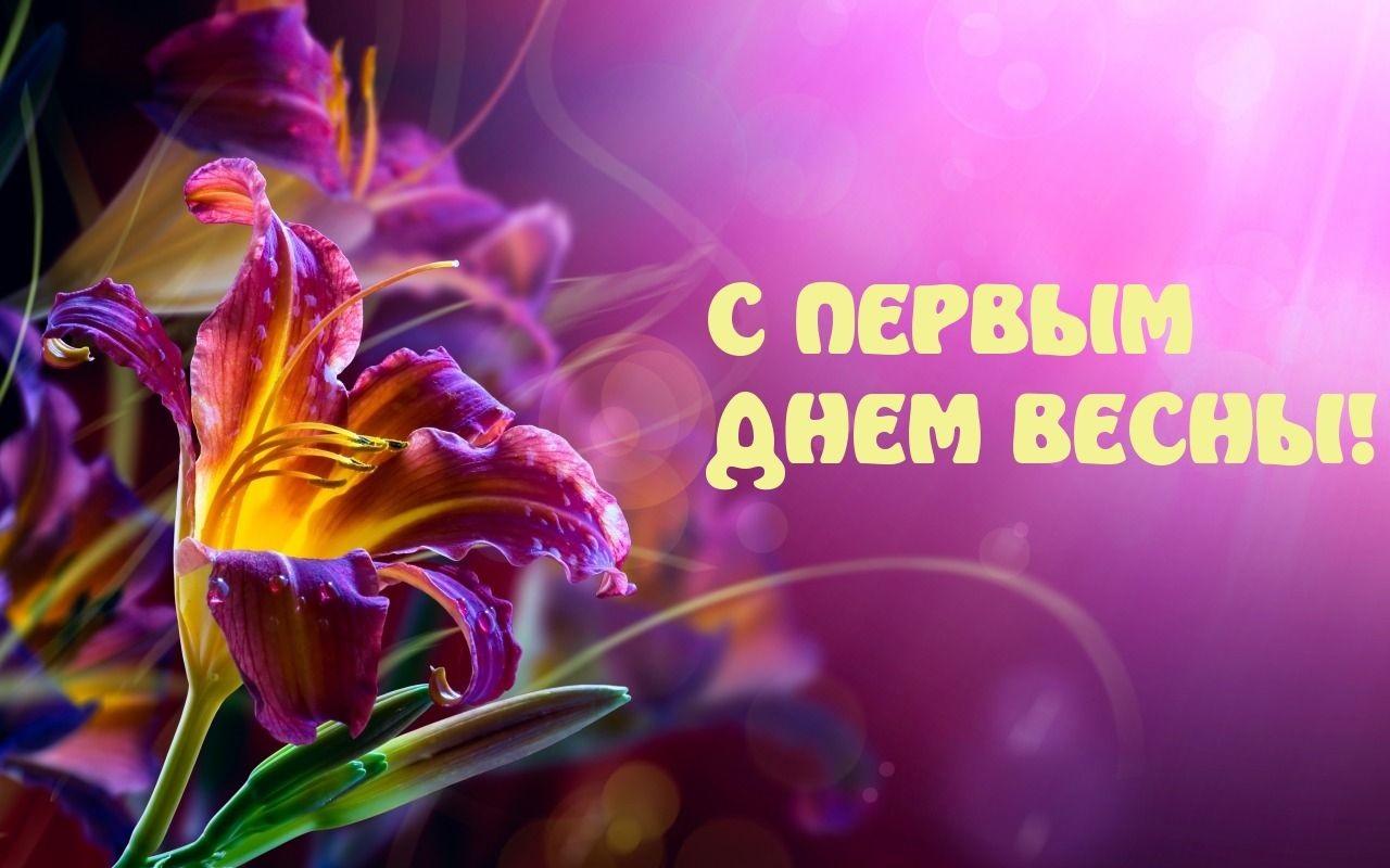 Хостинг картинок yapx.ru