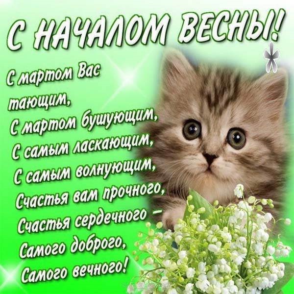 Хостинг картинок yapx.ru
