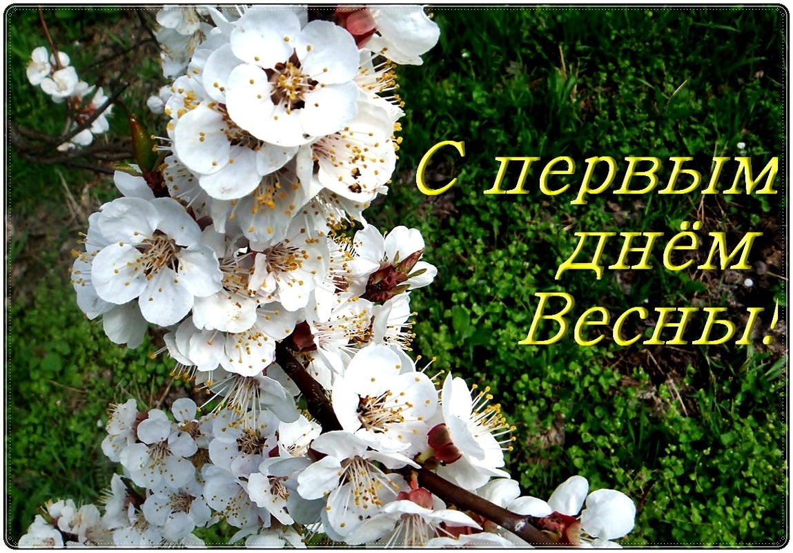 Хостинг картинок yapx.ru