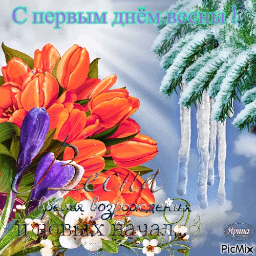 Хостинг картинок yapx.ru