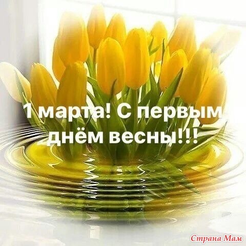 Хостинг картинок yapx.ru