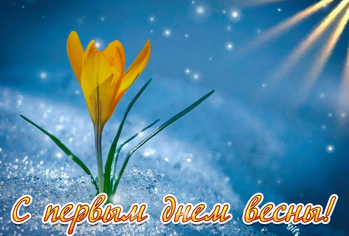 Хостинг картинок yapx.ru