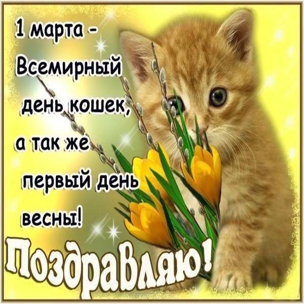 Хостинг картинок yapx.ru