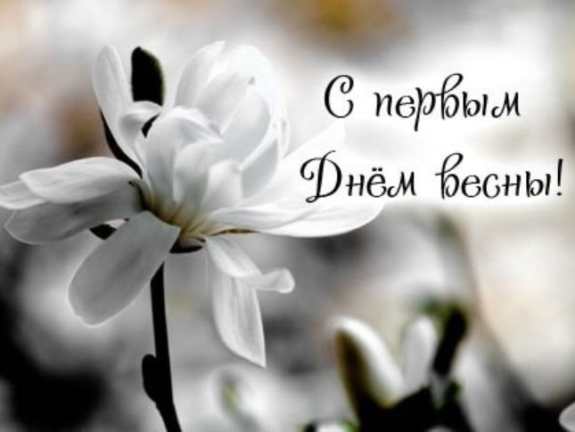 Хостинг картинок yapx.ru