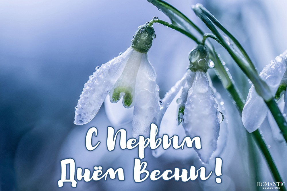 Хостинг картинок yapx.ru