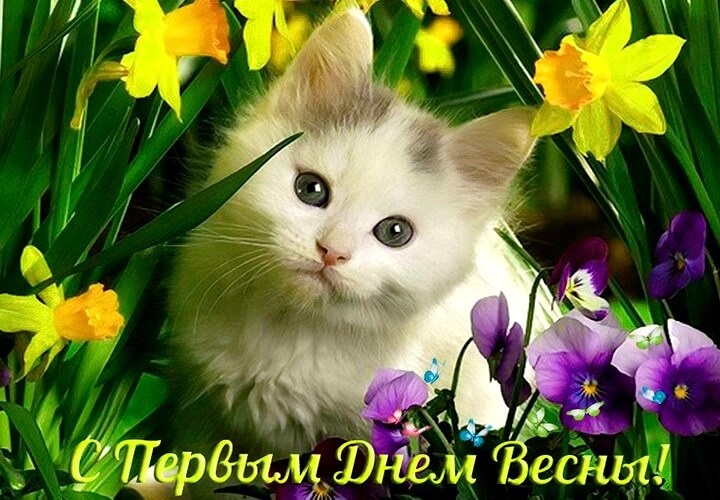 Хостинг картинок yapx.ru