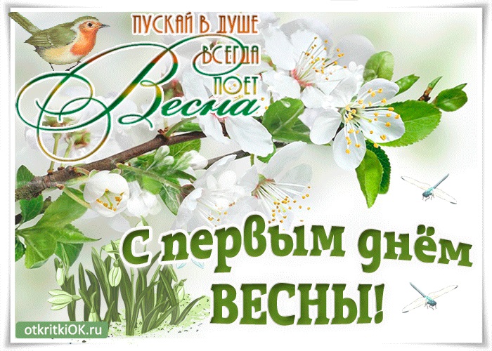 Хостинг картинок yapx.ru