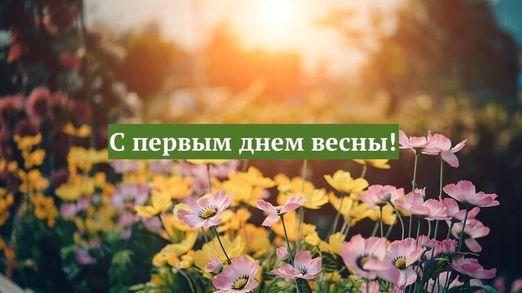 Хостинг картинок yapx.ru