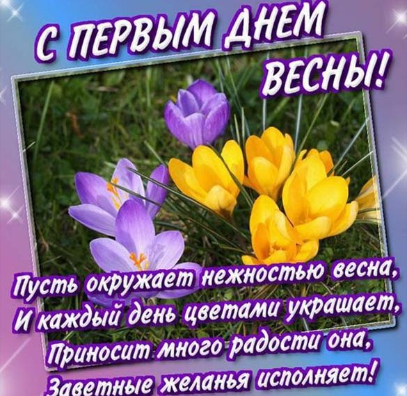 Хостинг картинок yapx.ru