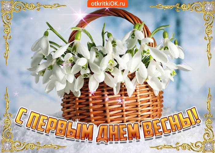 Хостинг картинок yapx.ru