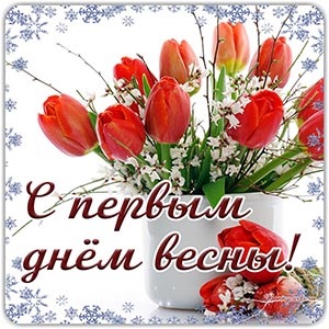 Хостинг картинок yapx.ru