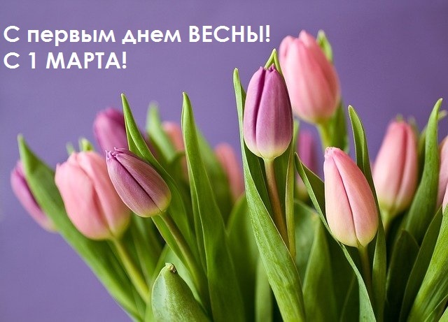 Хостинг картинок yapx.ru