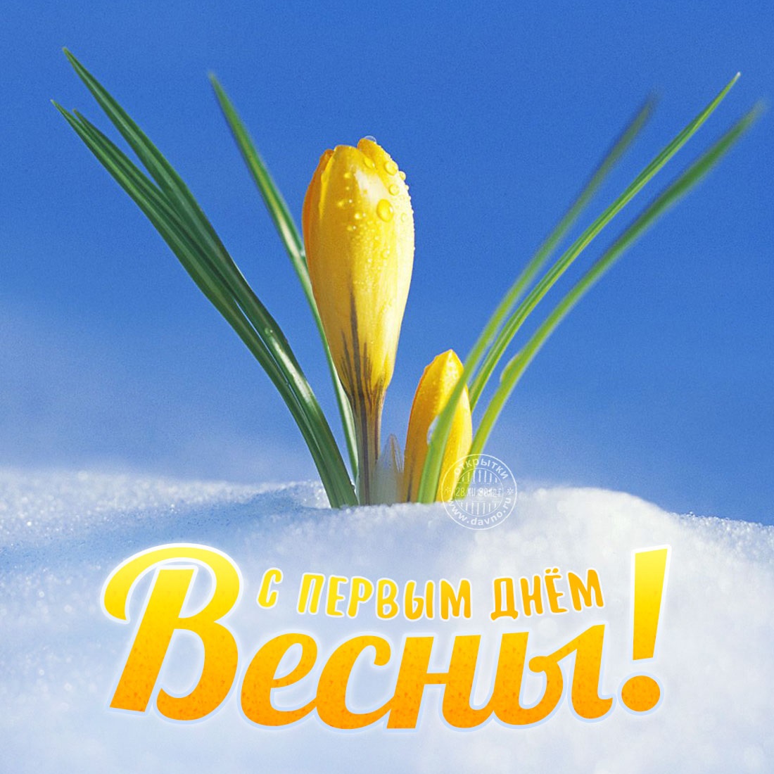 Хостинг картинок yapx.ru