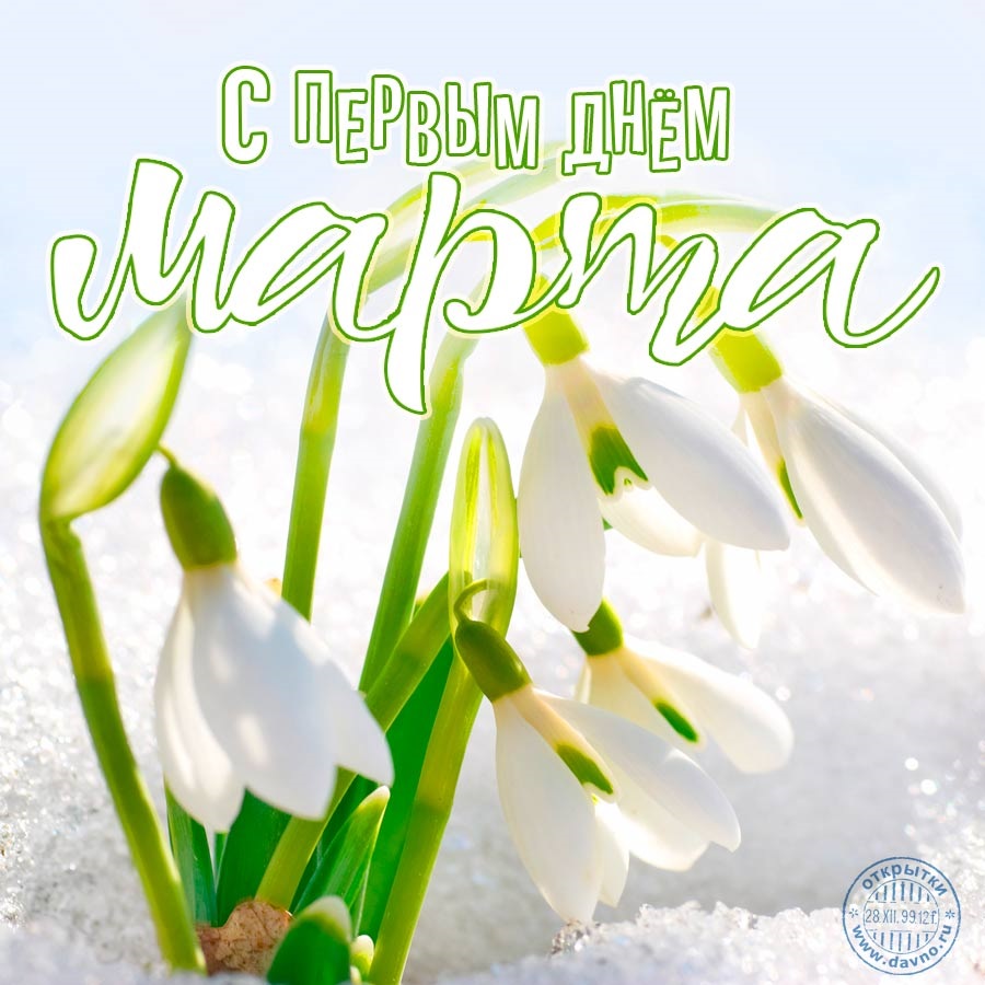 Хостинг картинок yapx.ru