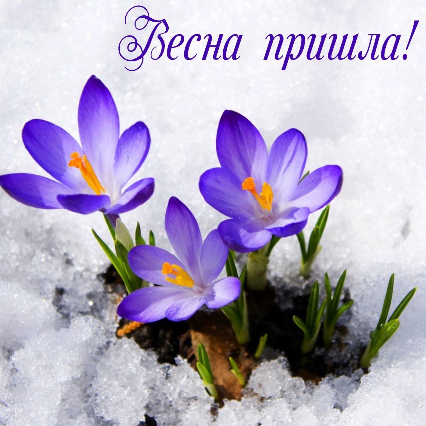 Хостинг картинок yapx.ru