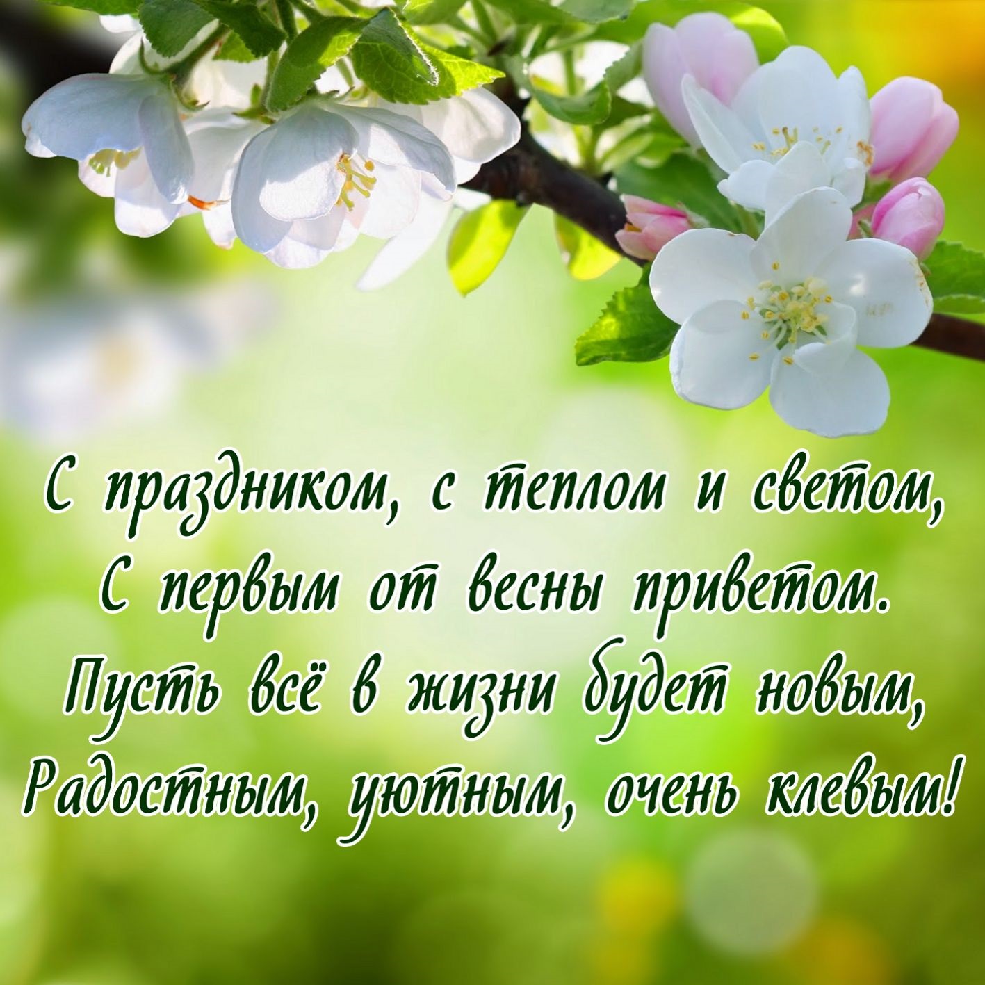 Хостинг картинок yapx.ru