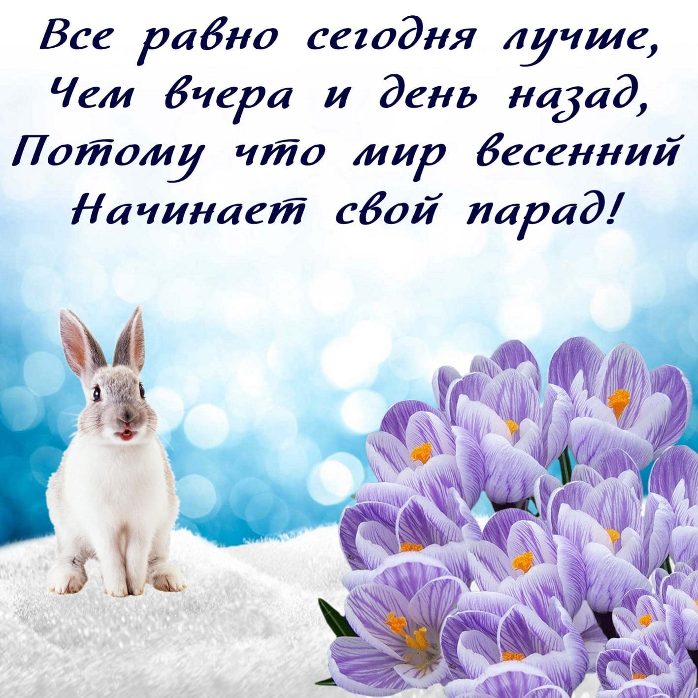 Хостинг картинок yapx.ru