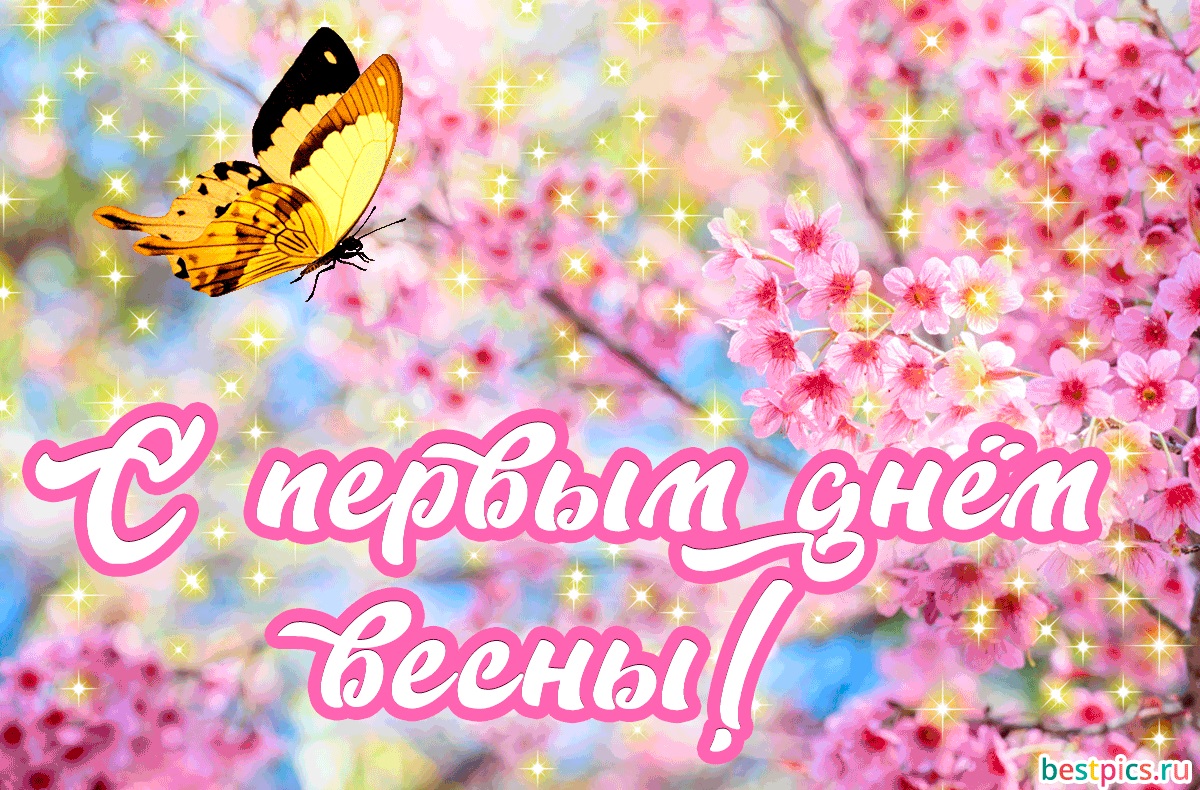 Хостинг картинок yapx.ru