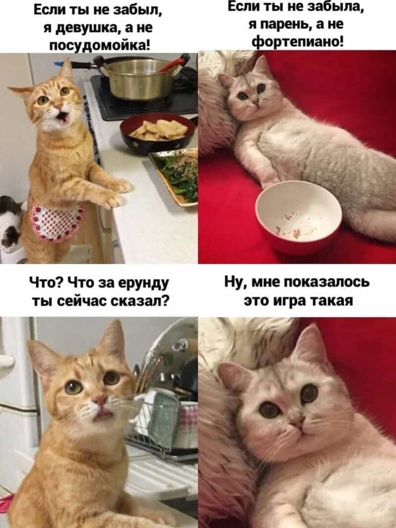 Хостинг картинок yapx.ru