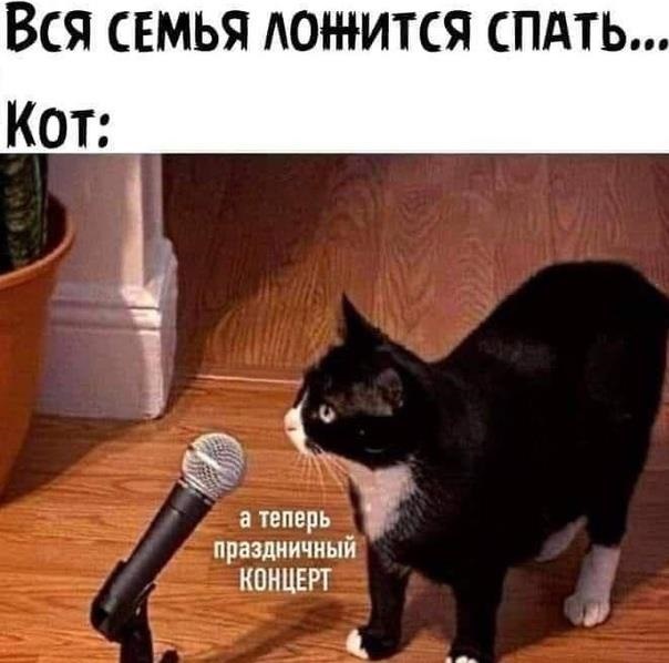 Хостинг картинок yapx.ru