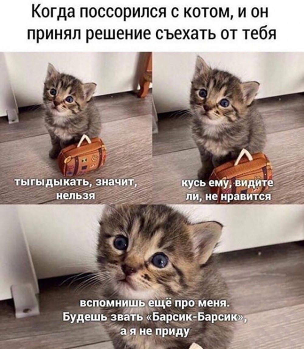Хостинг картинок yapx.ru