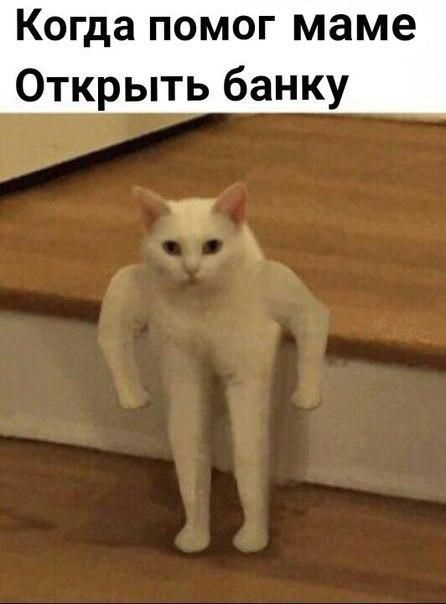 Хостинг картинок yapx.ru