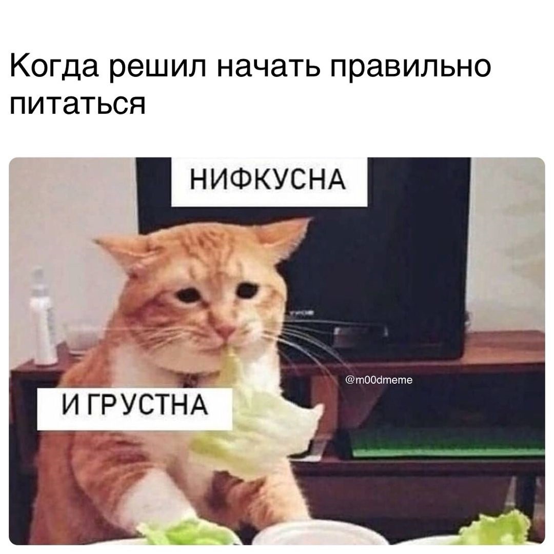 Хостинг картинок yapx.ru