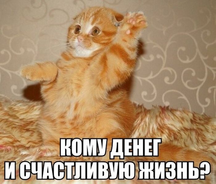 Хостинг картинок yapx.ru