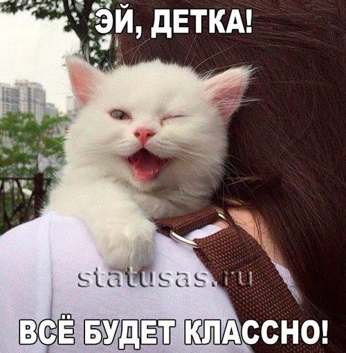 Хостинг картинок yapx.ru