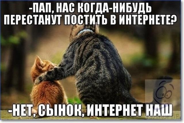 Хостинг картинок yapx.ru