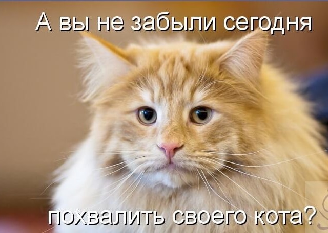 Хостинг картинок yapx.ru