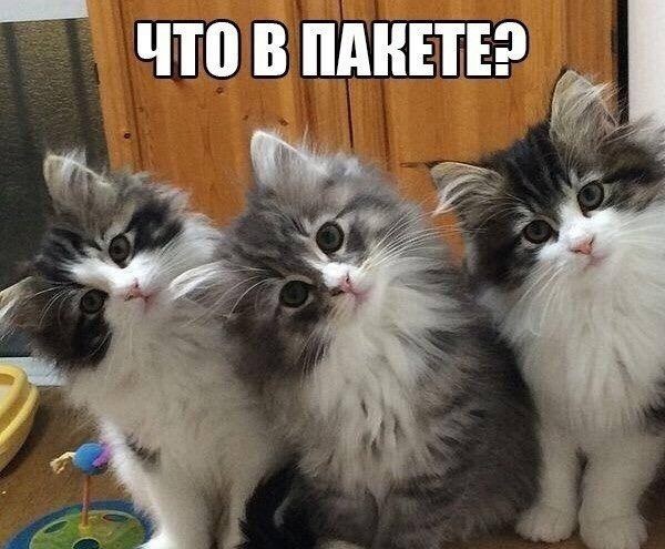 Хостинг картинок yapx.ru