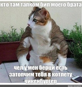 Хостинг картинок yapx.ru