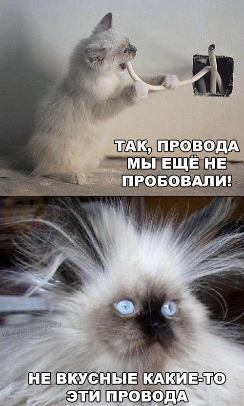 Хостинг картинок yapx.ru