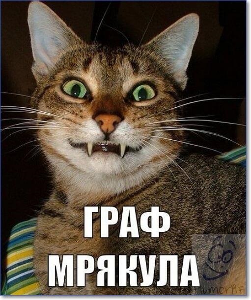 Хостинг картинок yapx.ru