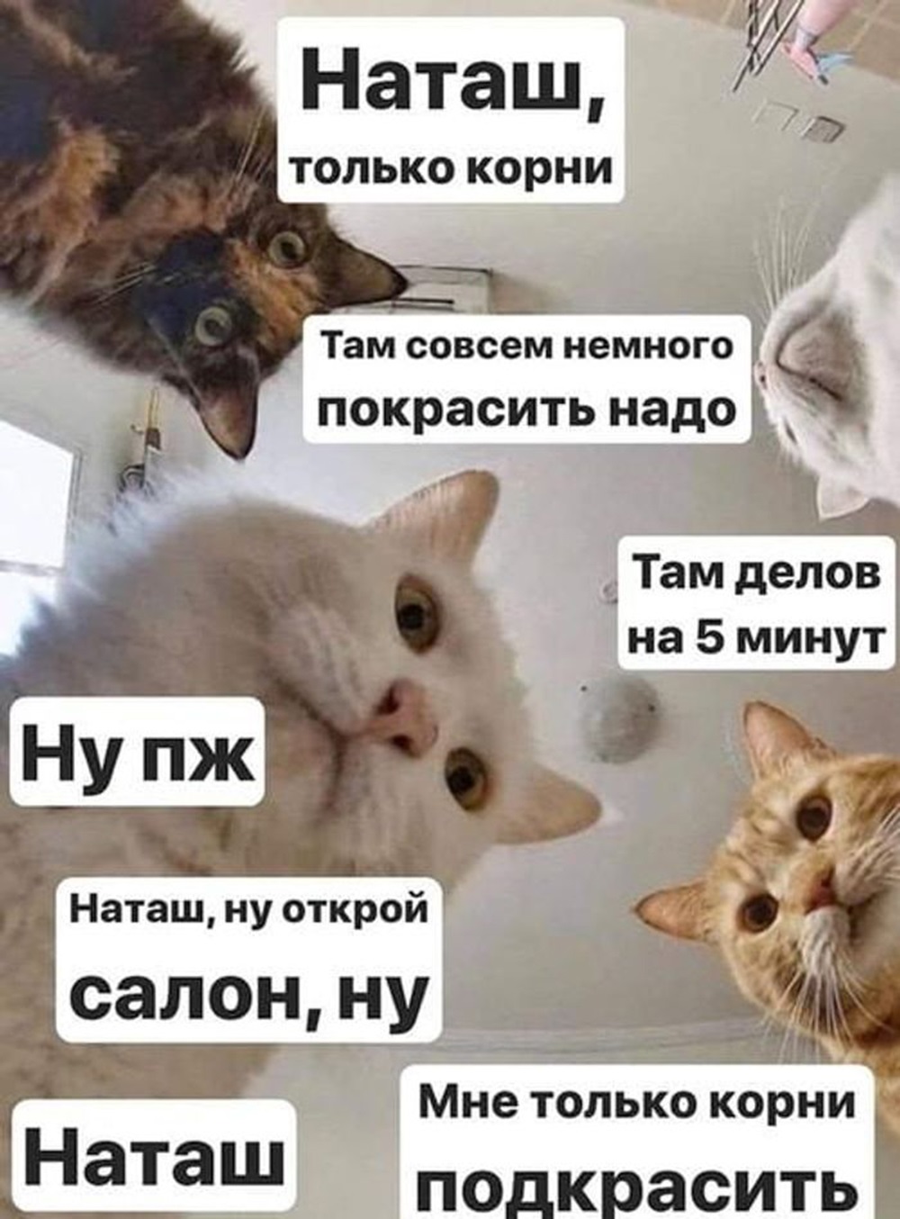 Хостинг картинок yapx.ru
