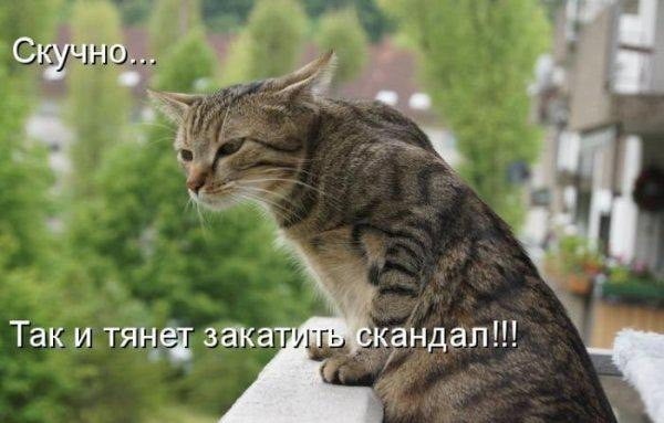 Хостинг картинок yapx.ru
