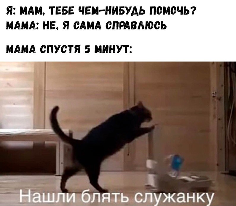 Хостинг картинок yapx.ru