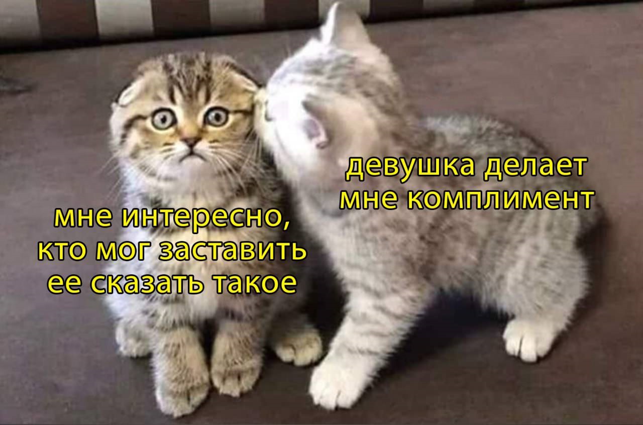 Хостинг картинок yapx.ru