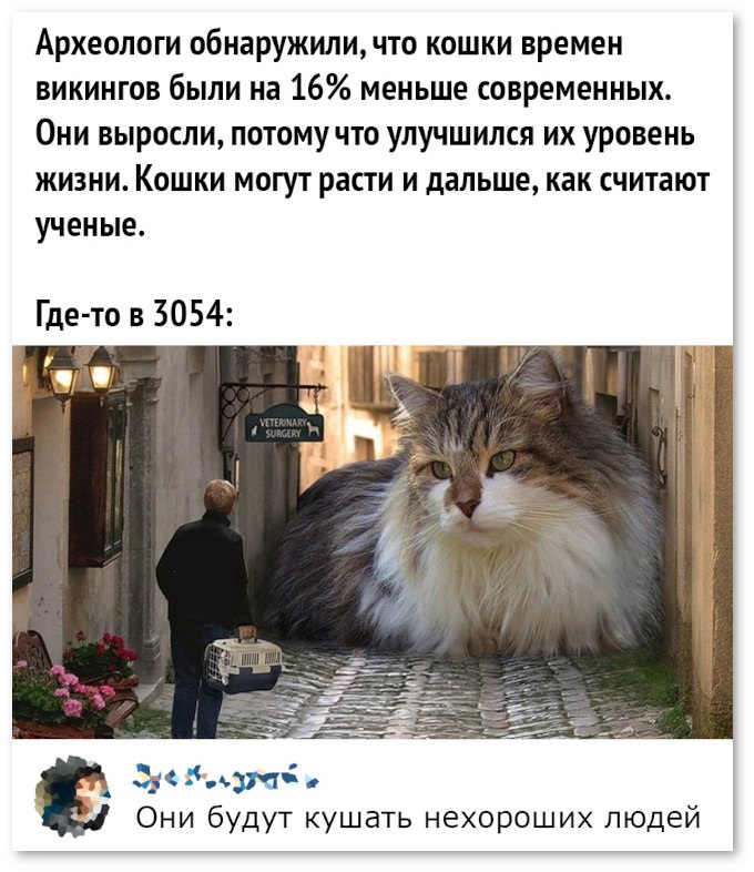 Хостинг картинок yapx.ru