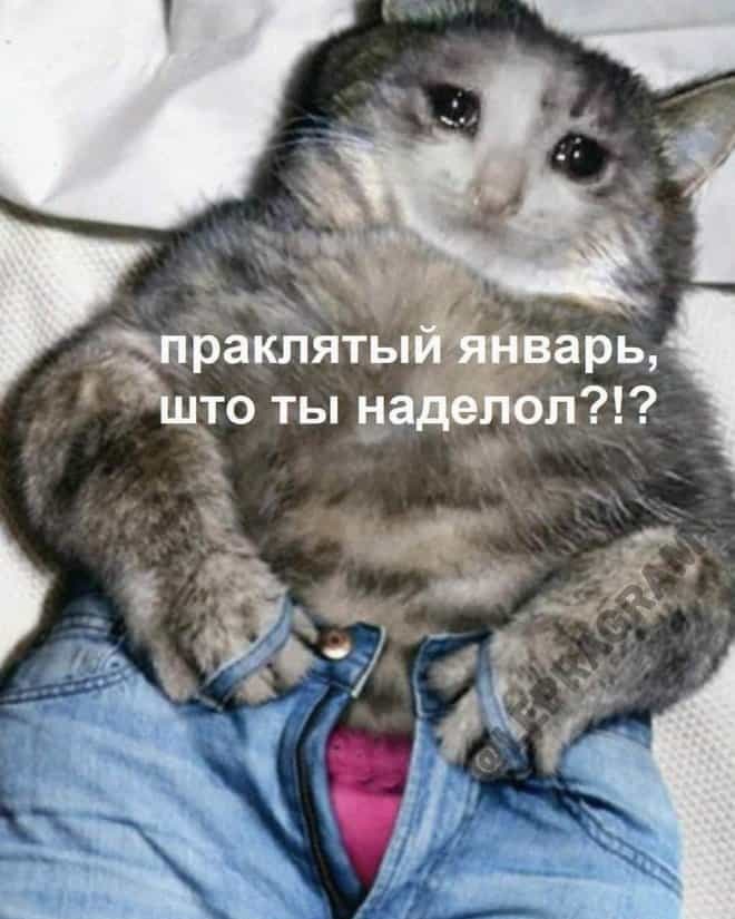 Хостинг картинок yapx.ru