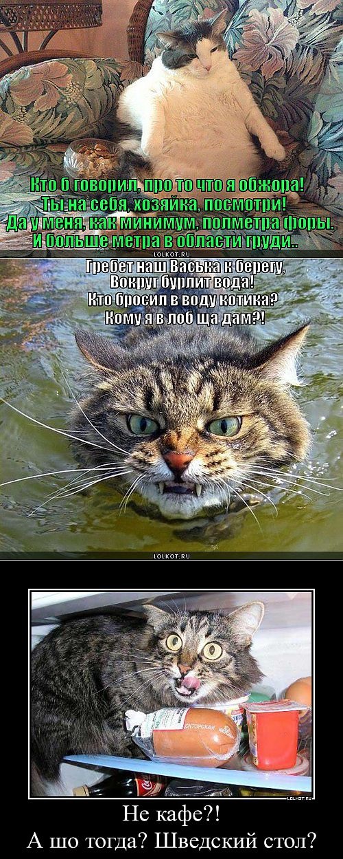 Хостинг картинок yapx.ru