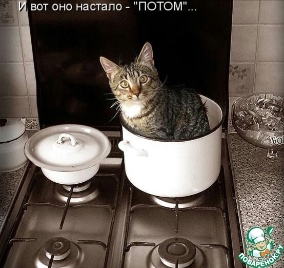 Хостинг картинок yapx.ru