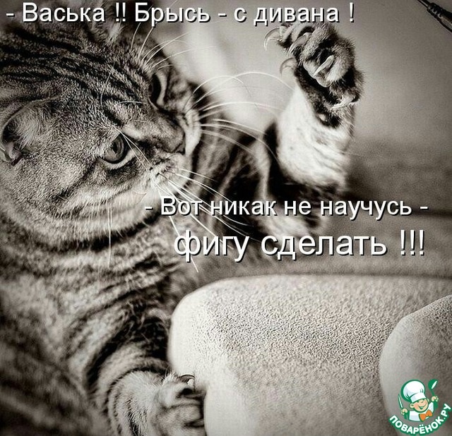 Хостинг картинок yapx.ru