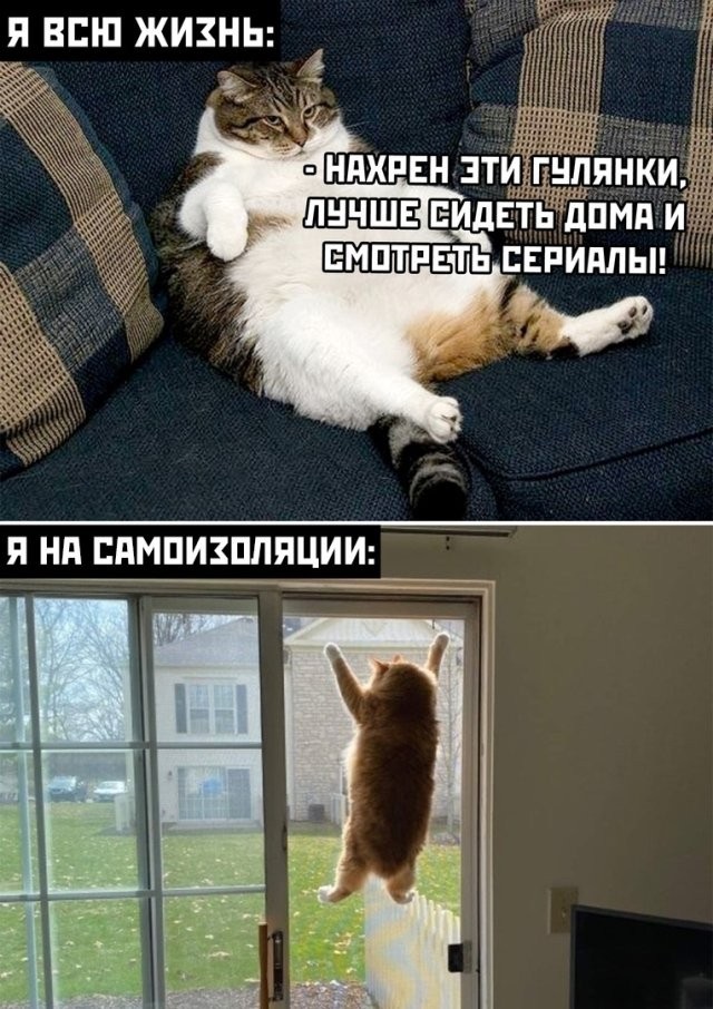 Хостинг картинок yapx.ru