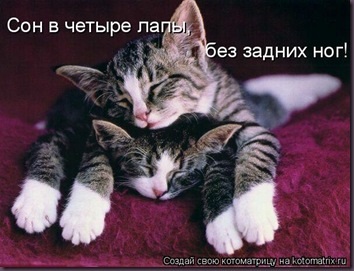 Хостинг картинок yapx.ru