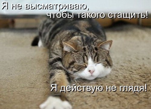Хостинг картинок yapx.ru