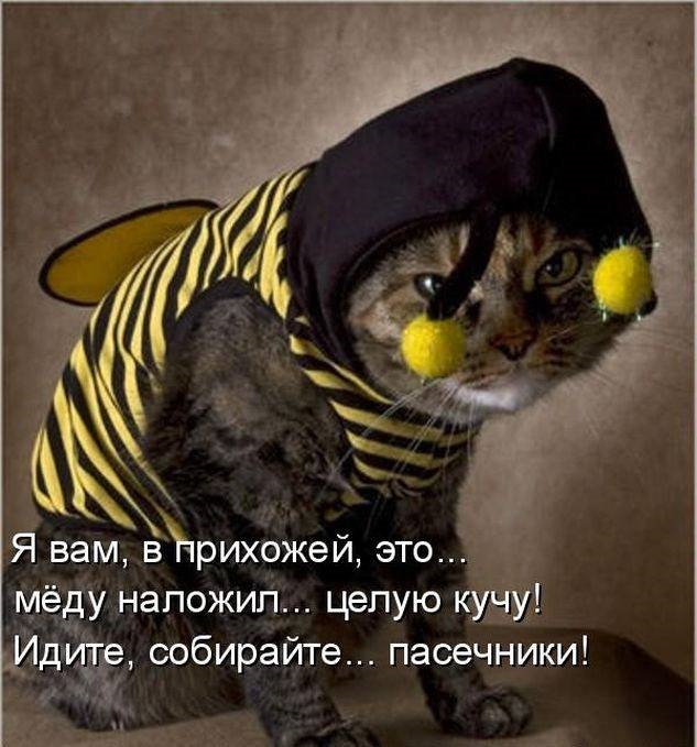 Хостинг картинок yapx.ru