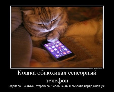 Хостинг картинок yapx.ru